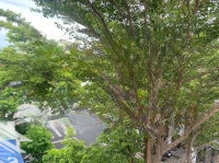 Bán Nhà 3 Tầng Sẵn Nội Thất Mặt Tiền Kinh Doanh Khu Đô Thị Phước Long Nha Trang Giá Chỉ 7 Tỷ 100