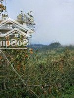 1000M2 Đất Nghỉ Dưỡng, Sẵn Cây Ăn Trái, Suối Nước, Điện Nước Đầy Đủ Tại Xã Xuân Trường, Đà Lạt