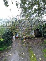 1000M2 Đất Nghỉ Dưỡng, Sẵn Cây Ăn Trái, Suối Nước, Điện Nước Đầy Đủ Tại Xã Xuân Trường, Đà Lạt