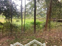 Chính Chủ Bán Mảnh Đất 13000M Tại Hợp Thanh