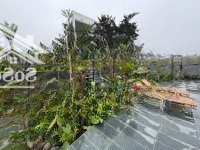 Biệt Thự Dòng Tiền Siêu Lợi Nhuận