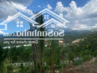 6000M2 Mặt Tiền B Lao Xê Rê, View 360, Khu Dân Cư Đông Đúc