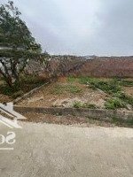 Bán Gấp Cắt Lỗ! Lô Đất Đẹp Tân Xã Giá Rẻ Hơn Thị Trường Cơ Hội Vàng Cho Nhà Đầu Tư