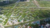 Bán Đất Dịch Vụ 63M2 Tại Song Phương, Hoài Đức, Hà Nội