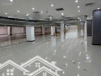 Bqltn Cho Thuê Giá Sốc Từ 15$ Sàn Thương Mại, Văn Phòng Grand Plaza - Charmvit