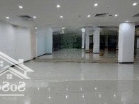 Bqltn Cho Thuê Giá Sốc Từ 15$ Sàn Thương Mại, Văn Phòng Grand Plaza - Charmvit