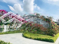 Căn Nhà Thô Gói 8 Kvg The Capella Gói 8 Mỹ Gia, Đường Thông 14Met Giá Chỉ 5.1 Tỷ Bao Hết/0931800111