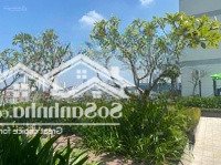 Bán Nhà Mặt Tiền 12M Mặt Phố Nguyễn Đình Thi, Tây Hồ. Vỉa Hè Kinh Doanh, Sổ Đỏ Đẹp, View Hồ Tây