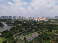 Bán 13.000M2 Đất Mặt Tiền Đường Số 5 Long Phước Có Thổ Cư