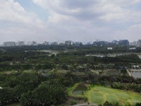 Bán 13.000M2 Đất Mặt Tiền Đường Số 5 Long Phước Có Thổ Cư