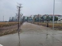 Đất Đấu Giá Bạch Đa, Kim Hoa Đón Sóng Đầu Tư, Sinh Lời Bền Vững