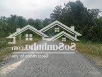 Cắt Lỗ Bán Lẹ Đường 228, Củ Chi, Hcm, Giá Cực Chất 1,3Tỷ, 157M2