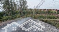 6533M2 Đất Có Thổ Cư Giáp Đê Giáp Sông Cần Giuộc