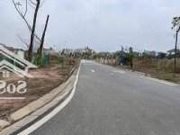 Cam Kết Rẻ Nhất Thị Trường 3Xtr/M Đất Đấu Giá Tại Mê Linh, Dân Cư Sầm Uất. Sổ Đỏ Sẵn Sàng Giao Dịch