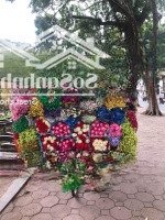 Mặt Phố Trần Hưng Đạo Đẳng Cấp - Vip Hiếm Nhà Bán - Vỉa Hè Rộng - Xung Quanh Các Cơ Quan Cao Cấp