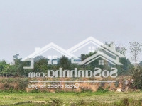 Bán Đất Tại Long Thượng, 1,4 Tỷ, 1400M2, Pháp Lý Đầy Đủ, Đẹp, Nhiều Tiện Ích