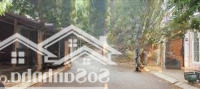 Bán Nhanh Lô Đất Mặt Tiền An Thượng 8 Khu Phố Tây An Thượng, Quận Ngũ Hành Sơn