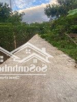 Vườn Bưởi Đang Canh Tác Ngay Sát Tuyến Diện Tích: 753 Mở Rộng Có Sẵn 20 Gốc Đang Ra Trái