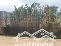 Bán Đất Tại Xã Kim Long, Tam Dương, Vĩnh Phúc, 12 Triệu Vnd/M2, 124.8 M2, Mặt Tiền 6M