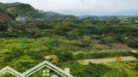 Bán Nhanh 17000M2 Vườn Trái Cây Sát Suối Khánh Vĩnh Giá Hợp Lý