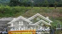 Bán Nhanh 17000M2 Vườn Trái Cây Sát Suối Khánh Vĩnh Giá Hợp Lý