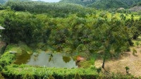 Bán Nhanh 17000M2 Vườn Trái Cây Sát Suối Khánh Vĩnh Giá Hợp Lý