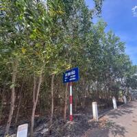 CHÍNH CHỦ CẦN BÁN LÔ ĐẤT ĐẸP TẠI ẤP 3, HÒA HỘI, MỘC XUYÊN BÀ RỊA- VŨNG TÀU, hơn 2.000m2, chỉ 3 tỷ