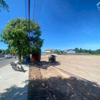 ĐẤT MẶT TIỀN QL13 6X50M, SỔ SẴN BÀU BÀNG - BD 3TY8