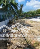 Bán Đất Quận 9, Phường Trường Thạnh Diện Tích 100M2 - Ngay Mặt Tiền Đường - Thích Hợp Đầu Tư