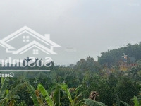 Chủ F0 Hàng Kín Chưa Ra Thị Trường Lô Góc 2 Mặt Tiền Tại Minh Quang Ba Vì Hn View Toàn Cảnh Eduland