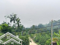 Chủ F0 Hàng Kín Chưa Ra Thị Trường Lô Góc 2 Mặt Tiền Tại Minh Quang Ba Vì Hn View Toàn Cảnh Eduland