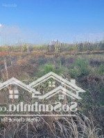 Cách Kcn Bến Củi 2Km Bán Lô Đất Ngộp 453M2 (10X45M) Mặt Tiền Lên Nhựa 10M Ngay Mặt Tiền Kênh Đông