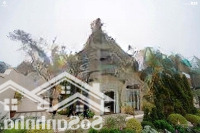 Biệt Thự Đơn Lập Đồi Thông 50 Tuổi