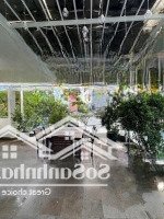 Bán Nhà Trịnh Như Khuê Bình Chánh Giá Bán 1Tỷ200 0931905982