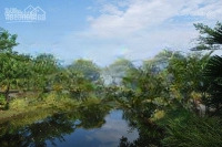 Mt Trục Chính. Cụm Phố Kinh Doanh. Ngay Cổng Bảo Vệ. Diện Tích: 180M2, Giá 42 Tr/M2. Liên Hệ: 0902.746,319
