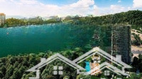 3 Ngủ Vip 147M2 View Biển Bắn Pháo Hoa Full Nội Thất Cách Biển 1 Bước Chân Trung Tâm Cát Bà