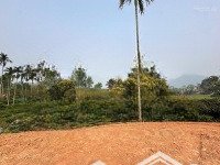 2000M2 Có Ao Trong Đất View Cánh Đồng Thoáng Mát, Giá Loanh Quanh 5 Triệu/M Tại Yên Trung Thạch Thất