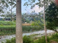Chính Chủ Bán Lô Đất 3500M, 700M Tc Bám Đường Bê Tông, Bám Suối Tại Cao Phong -Hoà Bình