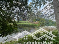 Chính Chủ Bán Lô Đất 3500M, 700M Tc Bám Đường Bê Tông, Bám Suối Tại Cao Phong -Hoà Bình