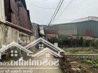 Chính Chủ Cần Bán Nhanh Lô Đất Nhỏ Gọn, Giá Tốt Tại Khu Phố Kim Thiều, Diện Tích 43,9M2