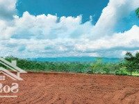 Bán Đất Chính Chủ View Rừng Thông Thơ Mộng