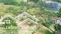 Bán Đất Chính Chủ View Rừng Thông Thơ Mộng