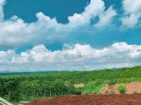 Bán Đất Chính Chủ View Rừng Thông Thơ Mộng