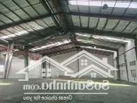 Cho Thuê Kho 666M2 Siêu Vip, Có Pccc Mặt Tiền Đường Lý Thánh Tông, P. Hiệp Tân, Q. Tân Phú