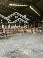 Cho Thuê Kho Đẹp 1000M2, Pccc Đủ, Bảo Vệ 24/24, Đường Xe Cont Chạy 24H. Gần Cảng, Khu Công Nghệ Cao