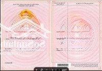 Bán Bt 3 Phòng Ngủ 2 Vệ Sinh 70M2 Tại Đường Tân Hiệp 10, Tân Hiệp, Tân Uyên, Bình Dương, Giá Ưu Đãi