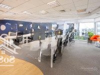 Giảm Sâu Tận 4 Tỷ, Tòa Văn Phòng 6 Tầng, Thang Máy,Mặt Tiềnđống Đa, Vị Trí Kim Cương Hiếm Có Chỉ 29 Tỷ
