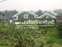 Đất Khai Hoangdiện Tích540M Yên Bài, Ba Vì, Hà Nội. Giá 1,X Tỷ