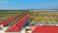 Bán Đất Nền Tại Nam An Bàu Bàng, 1,5 Tỷ, 100M2, Giá Ưu Đãi, Uy Tín