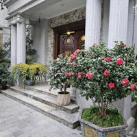 Bán biệt thự siêu sang 329m² – khu Hoa Lan Vinhomes Riverside, thang máy – sổ đỏ chính chủ